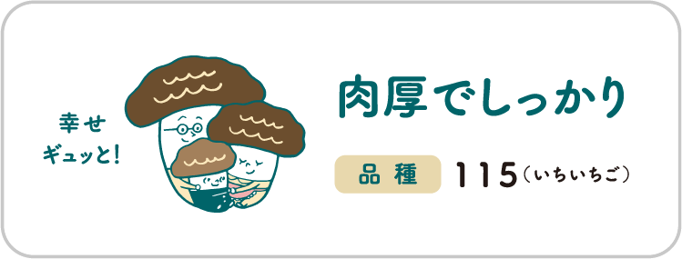 肉厚でしっかり