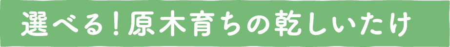 選べる！原木育ちの乾しいたけ